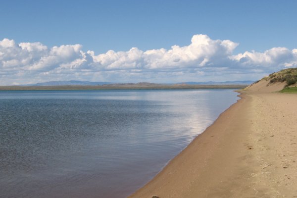 Кракен ссылка в тор