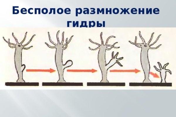 Магазин кракен даркнететамбов